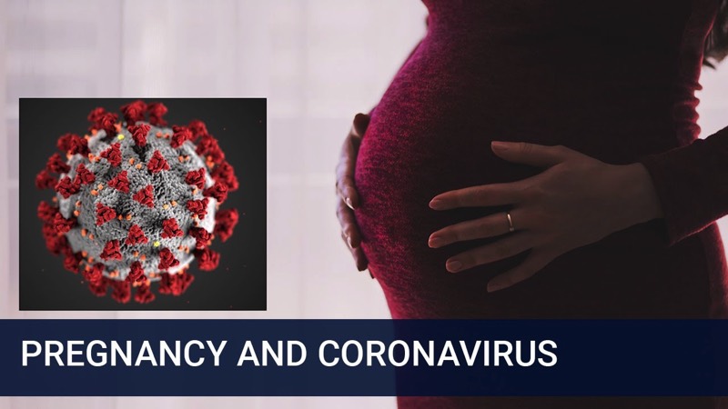 pregnancy and covid