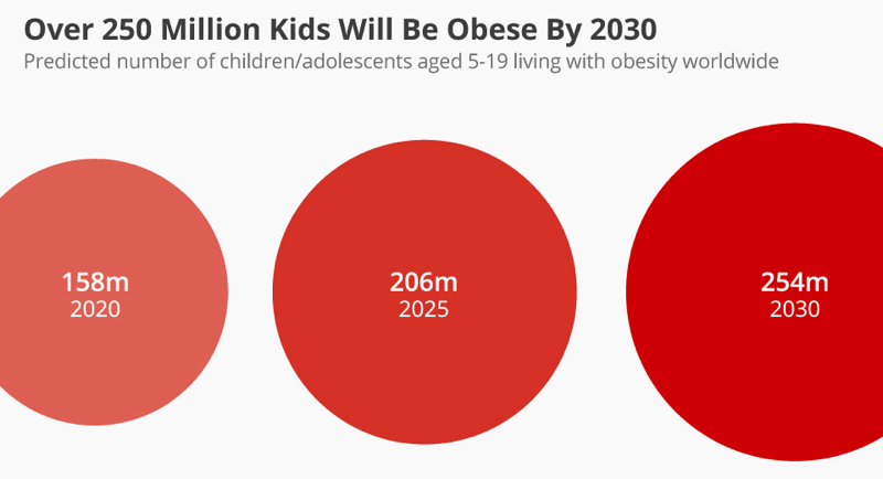 obesity by 2030